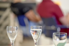 ANf-20250626-Akkordeon-Vorspielen-NIKON-Z-f-0094